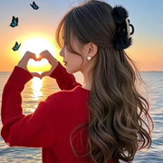 💞紫夜樱雨💞