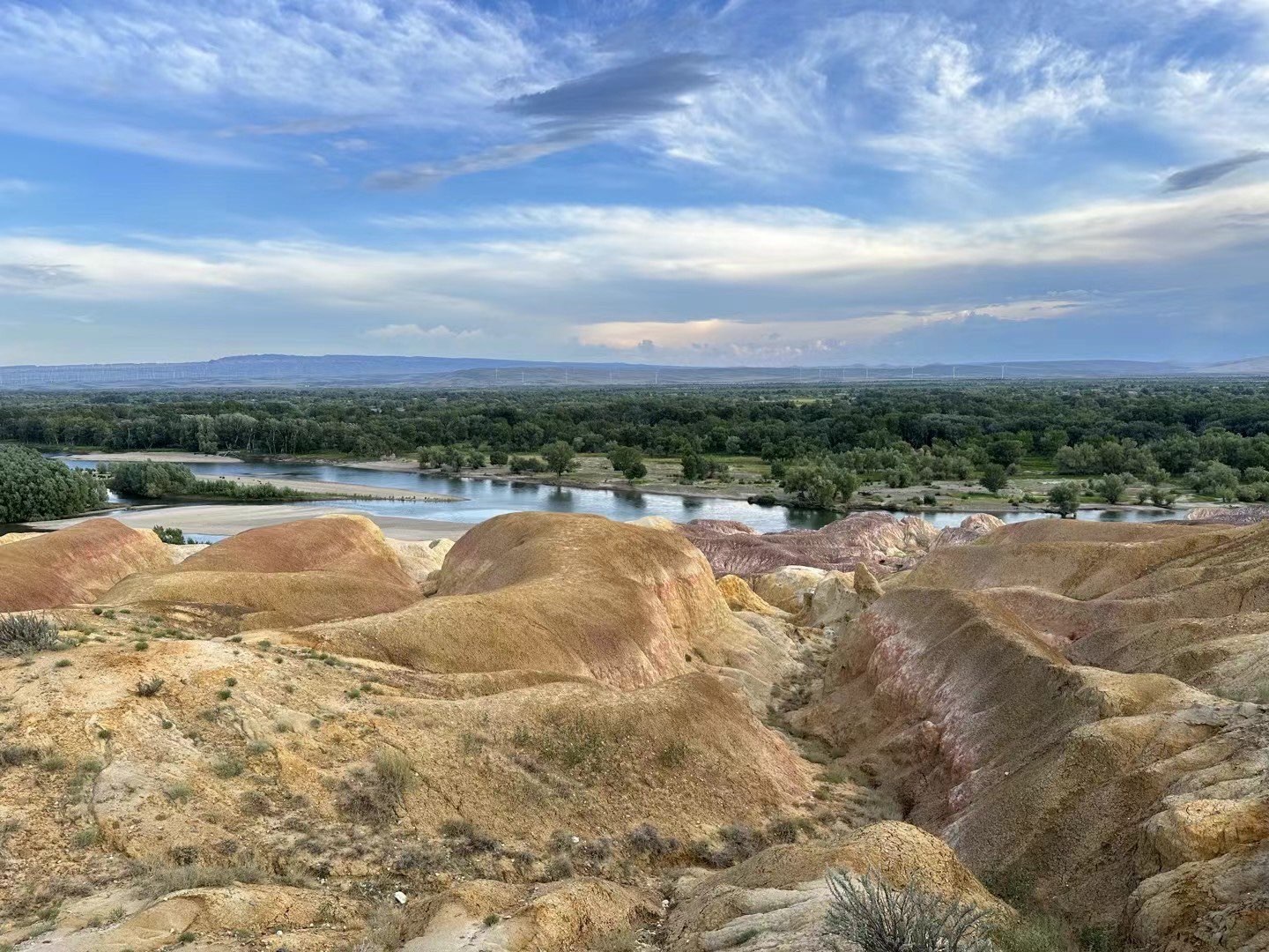 ??禹霏??的主播照片