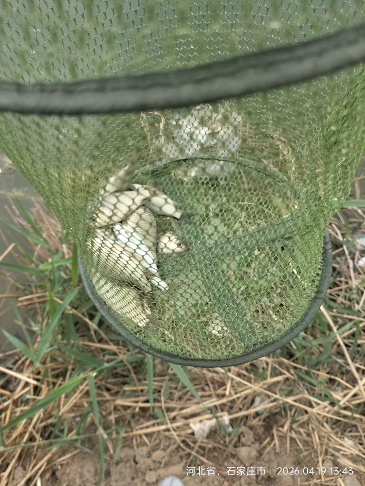 沐音最漂亮主播圖片