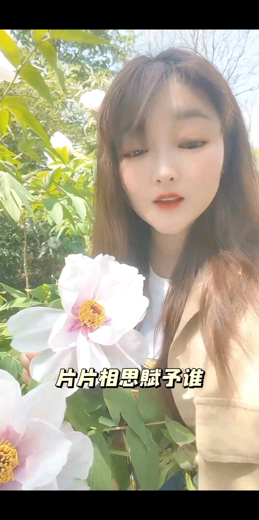 偏偏相思赋予谁❤️