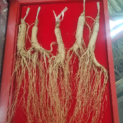 ☜得劲，苏服☞