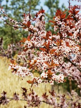 天王盖地虎虎044的图片