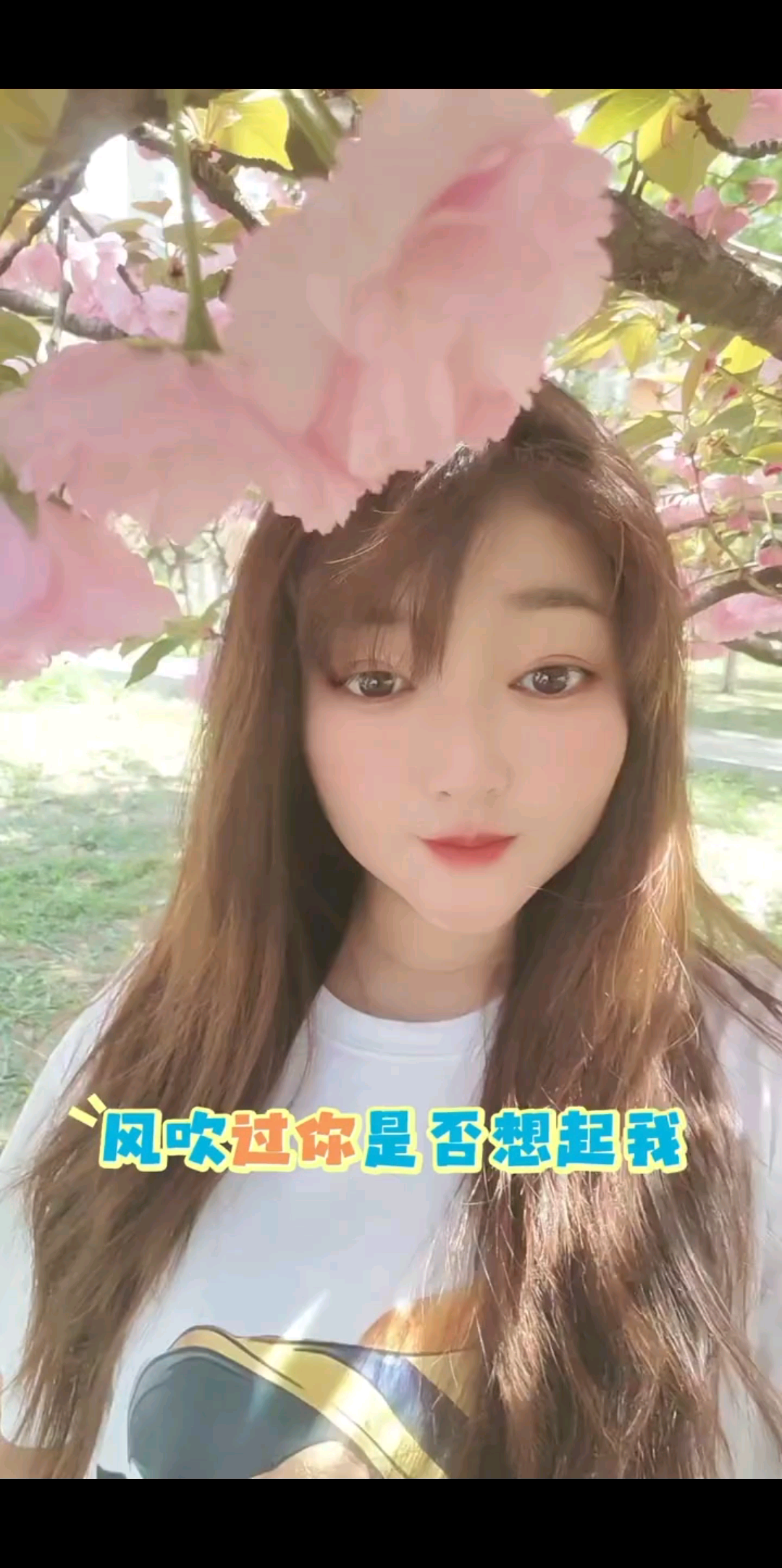 你是否还会想起我❤️