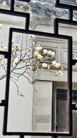 玖❤儿加油主播照片