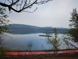 天王盖地虎虎044的图片