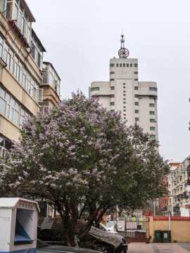 小喵求电费😿的图片