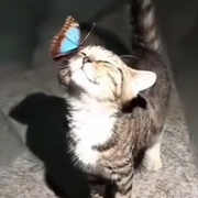 ~孒孒~