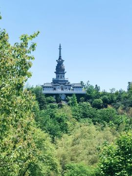 ♛花香染晨♛的图片