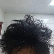 壮不庄子