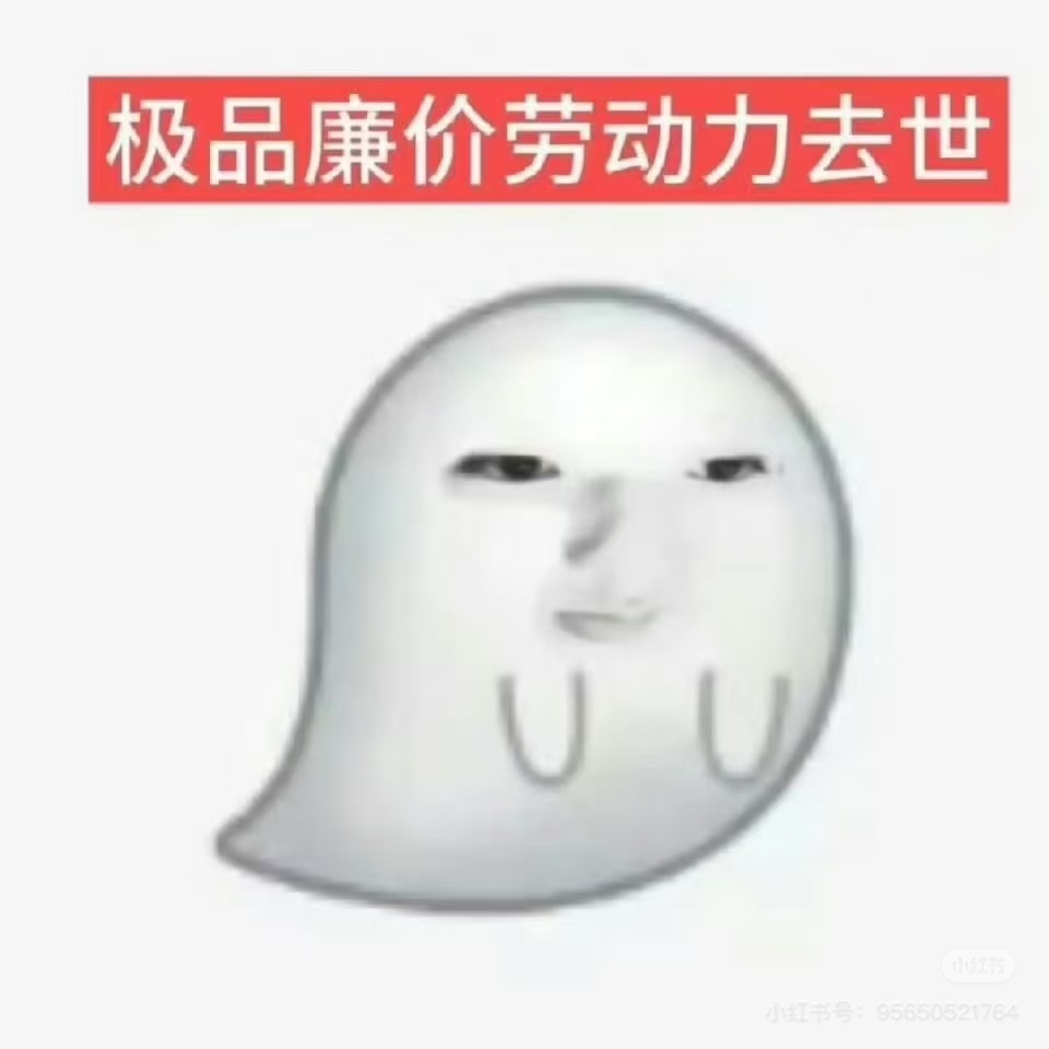 香饼饱饱的主播照片