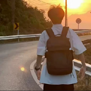 枫叶留别