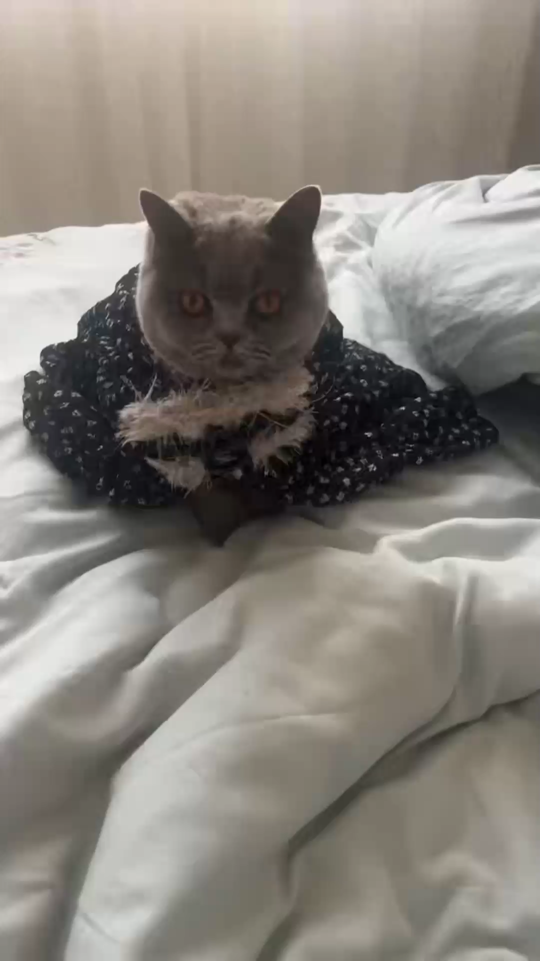 观看15次