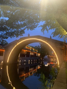 遗忘🌸的图片