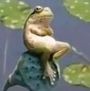 🌛半夜🐸趴你窗