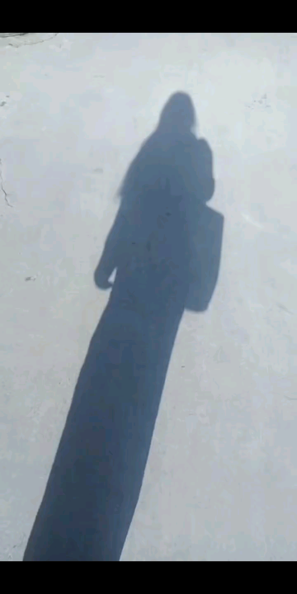 观看6次