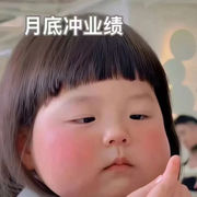小肥杏儿要饿鼠了