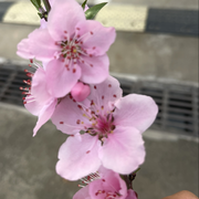 🍀休