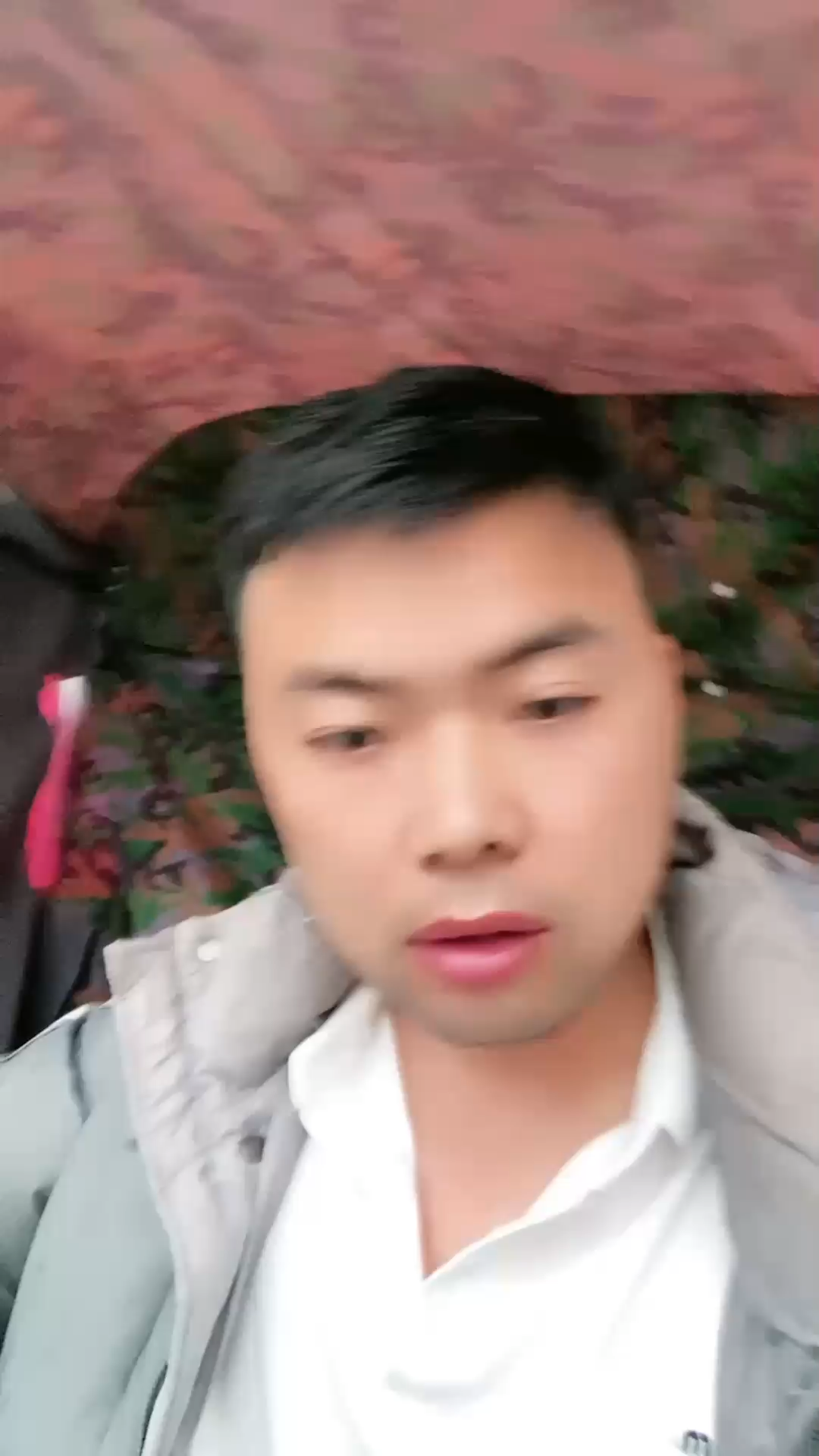 观看4次