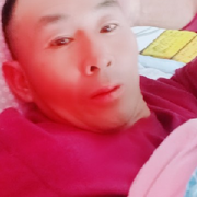 腼腆棕熊⋚