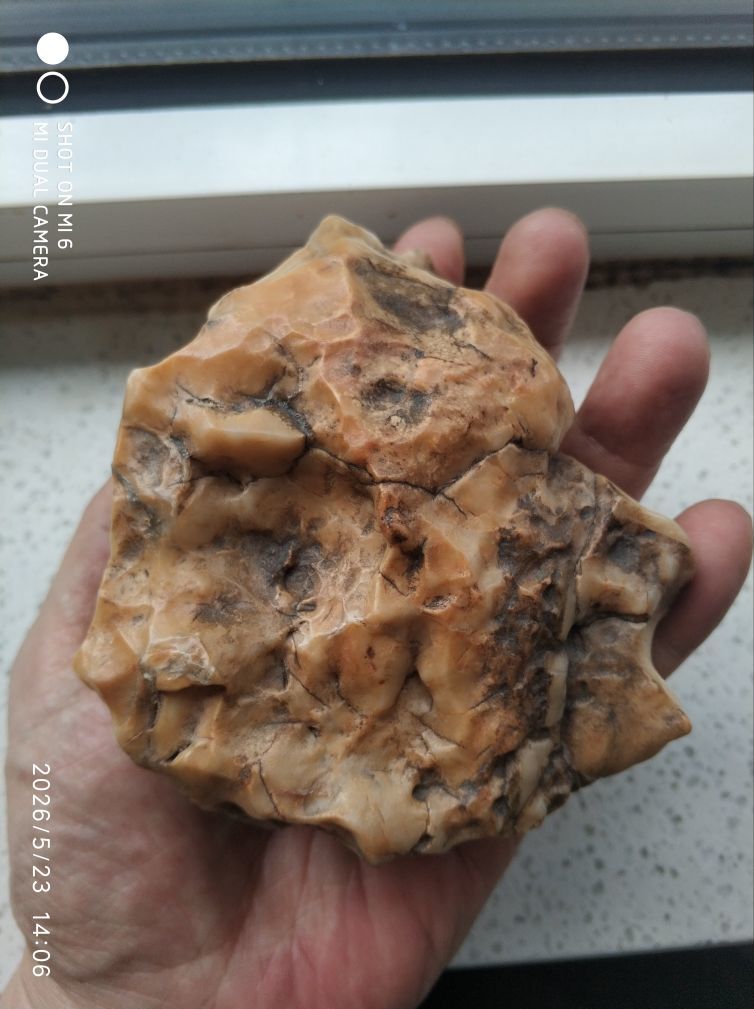 杀止若主播图片