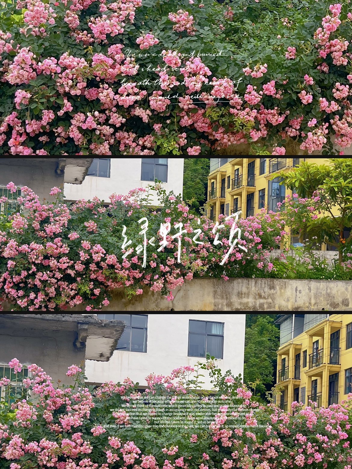 小青青~~的主播照片