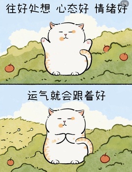 言言❤️主播照片