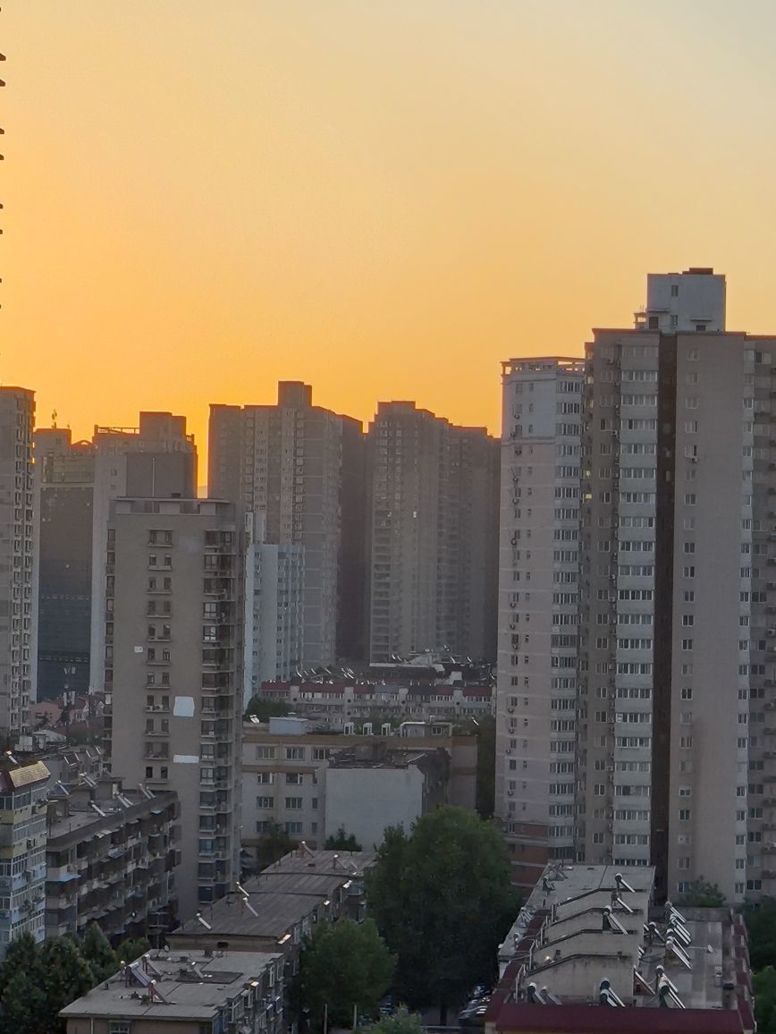 晴儿不连麦的图片