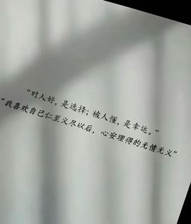 —白衣—主播照片