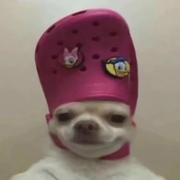 开机密码没了