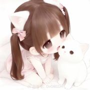 新人小乔