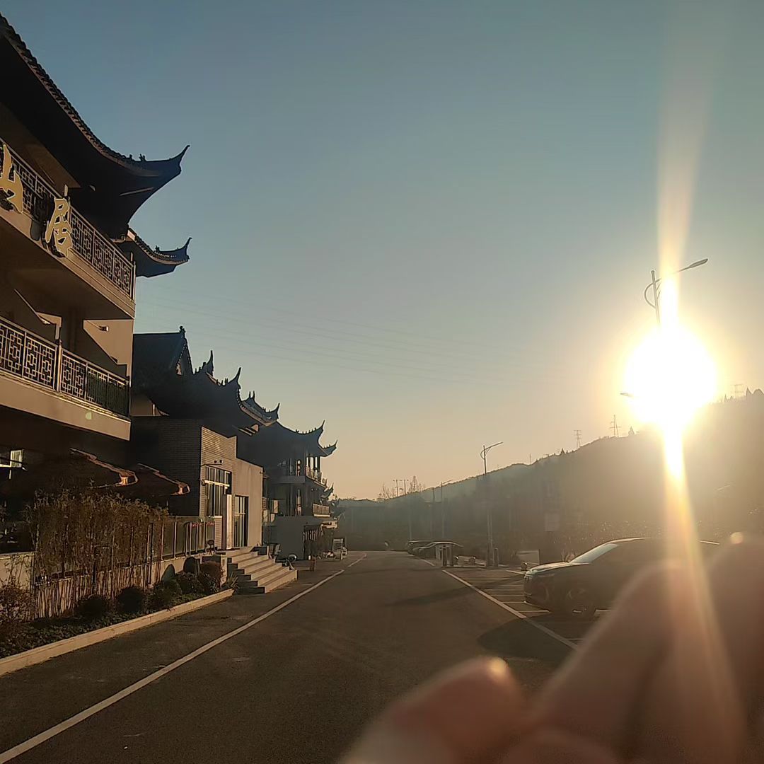 洋格里羊Z主播图片