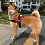 战狼csx