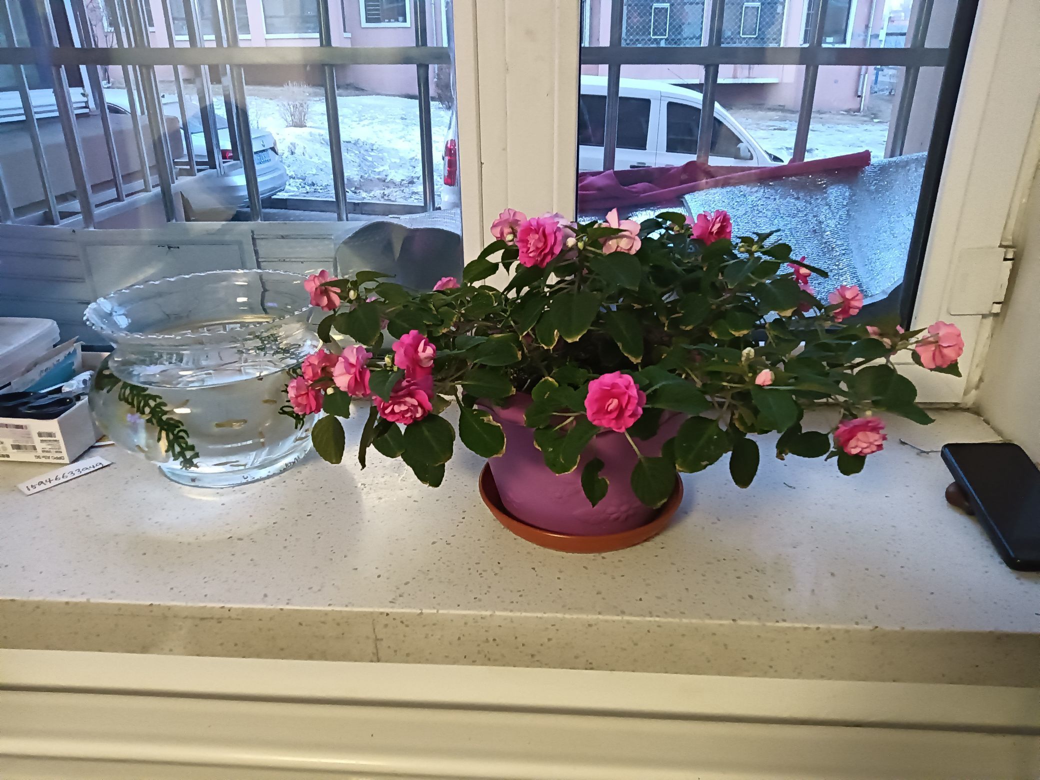 红姐感谢大家帮我🌹主播图片