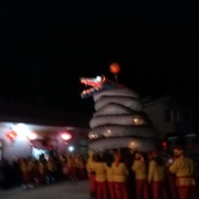 游子听歌