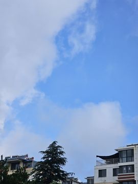 念念念念念念念念念主播照片