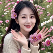 枕清澜3