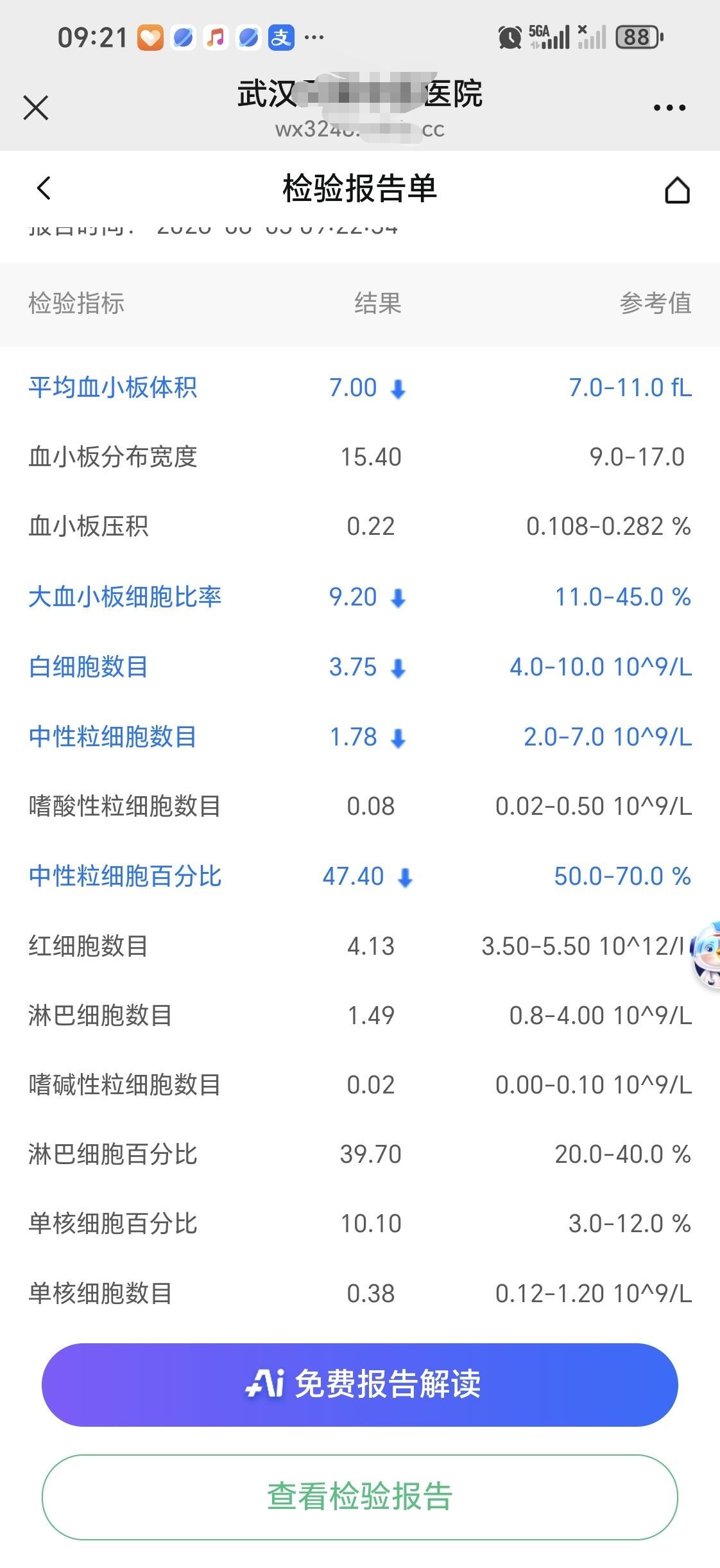洋格里羊Z主播图片