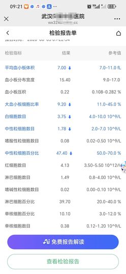 洋格里羊Z的图片