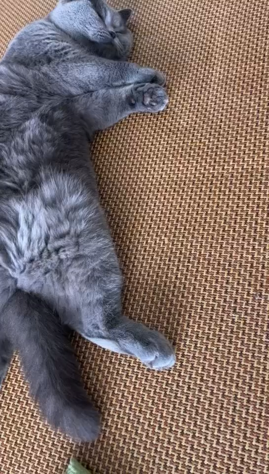 好像让她去上班