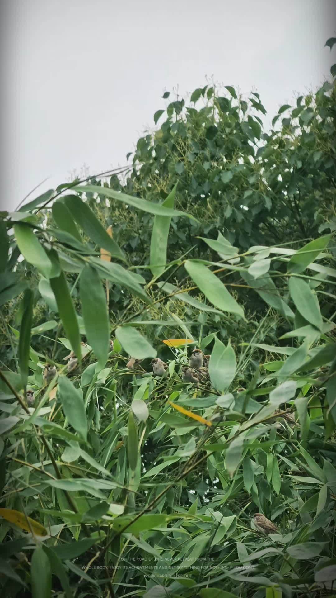 愿我们一切都好
