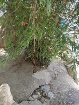 开心永州人.的图片