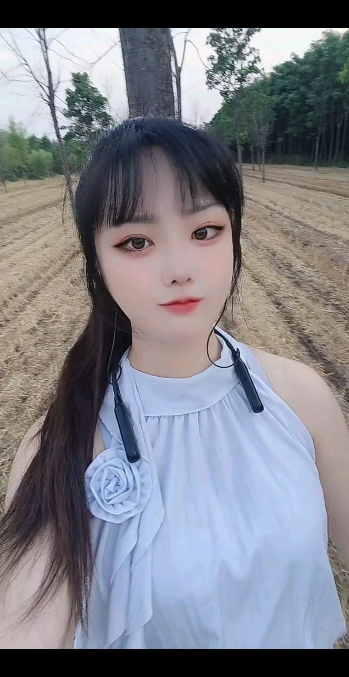 🐒🐒世间风雨皆是成长