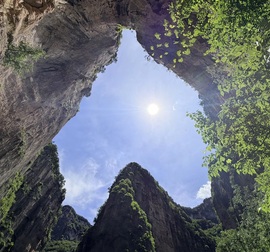 苒宝儿求守护的图片