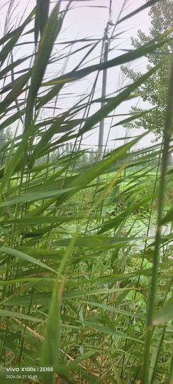 妞妞在江西的图片