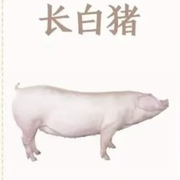 毛28🤍