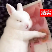 毛28🤍的头像