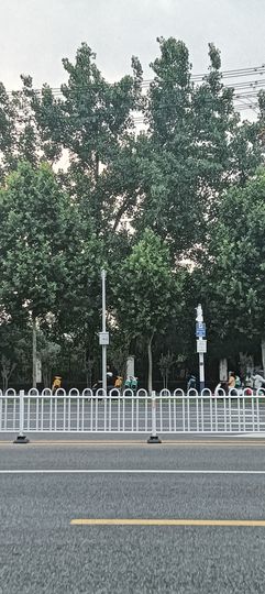 傲世_天下主播照片