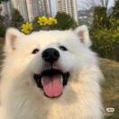 QQQErO