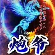 炮爷51