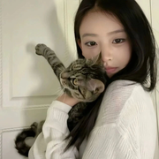 叮叮猫🐾想升级